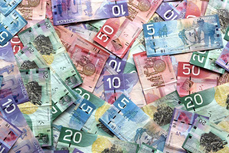 Canadian Dollar slumps as US Dollar soars, USD/CAD pinning into four-week highs