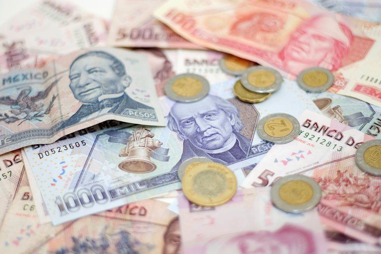 Mexican Peso rises on Banxico’s tough stance, US Dollar softens