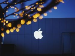 苹果(AAPL.US)转变AI路线！建立自研数据中心芯片 支持iOS 18 AI功能