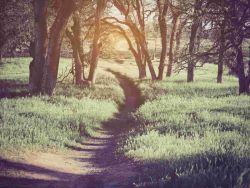 雅高控股(03313)股东将股票存入京基证券集团 存仓市值3484.05万港元